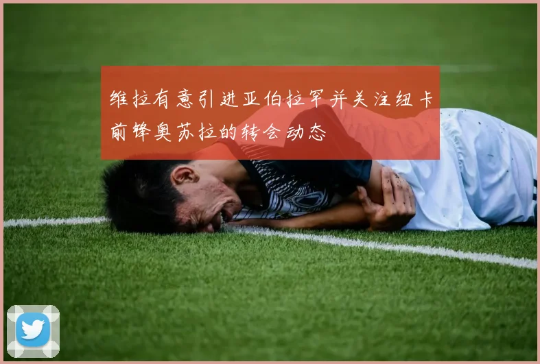 维拉有意引进亚伯拉罕并关注纽卡前锋奥苏拉的转会动态