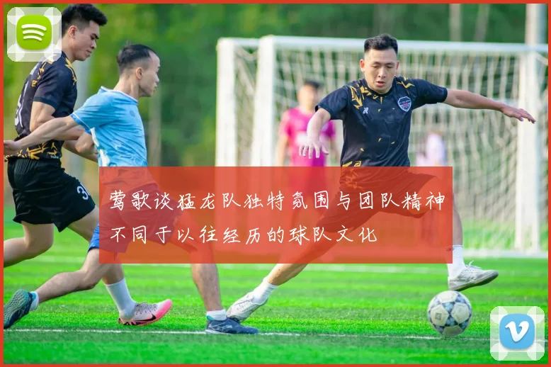 莺歌谈猛龙队独特氛围与团队精神不同于以往经历的球队文化